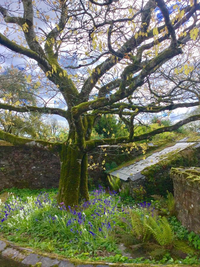 Willowhill House Minane Bridge Kültér fotó